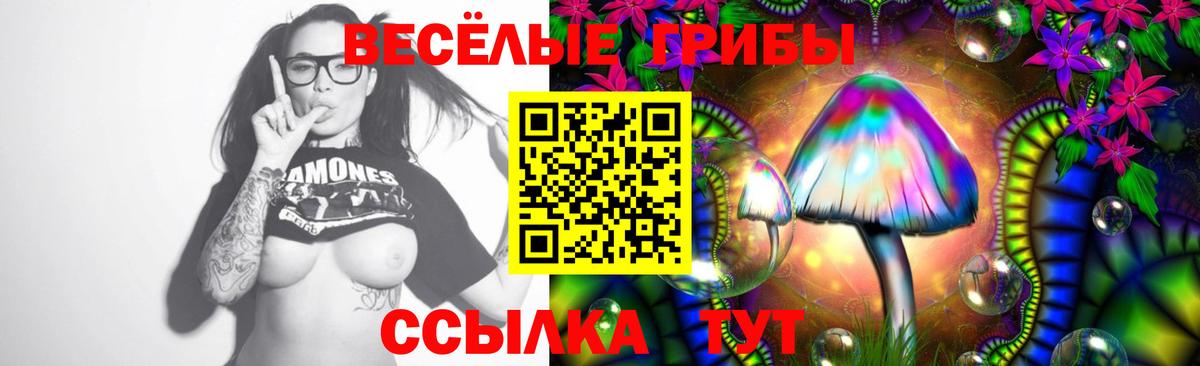 Галлюциногенные грибы Magic Shrooms  как найти   Мелеуз  Вход с VPN  Галлюциногенные грибы мицелий 